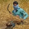MHA guidelines: Govt allows e-tail, agri activities to resume from April 20