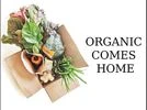 organic food organic food