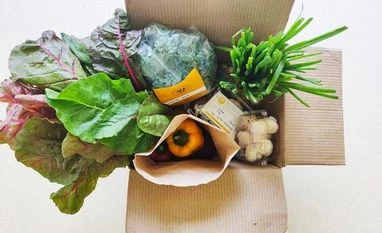 organic food organic food