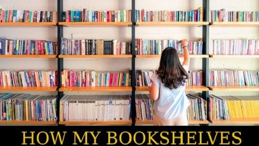 book shelf, reading, books book shelf, reading, books