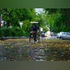 Monsoon, cycle rikshaw, ricshaw, rains, people, IMD, weather, atmosphere, environment, season Monsoon, cycle rikshaw, ricshaw, rains, people, IMD, weather, atmosphere, environment, season
