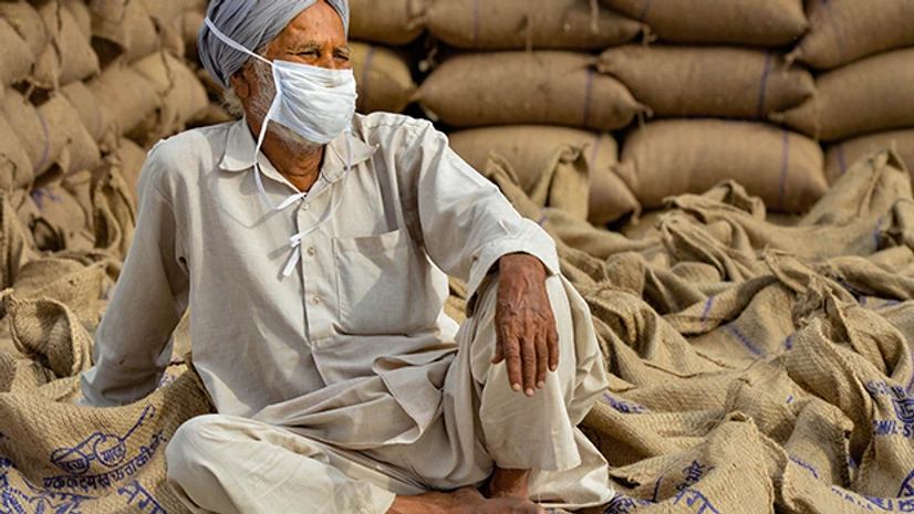 farmer, wheat produce, Covid-19 crisis, agriculture A farmer waits for his wheat produce procured at the New Grain Market amid ongoing COVID-19 lockdown, in Chandigarh. Photo: PTI
