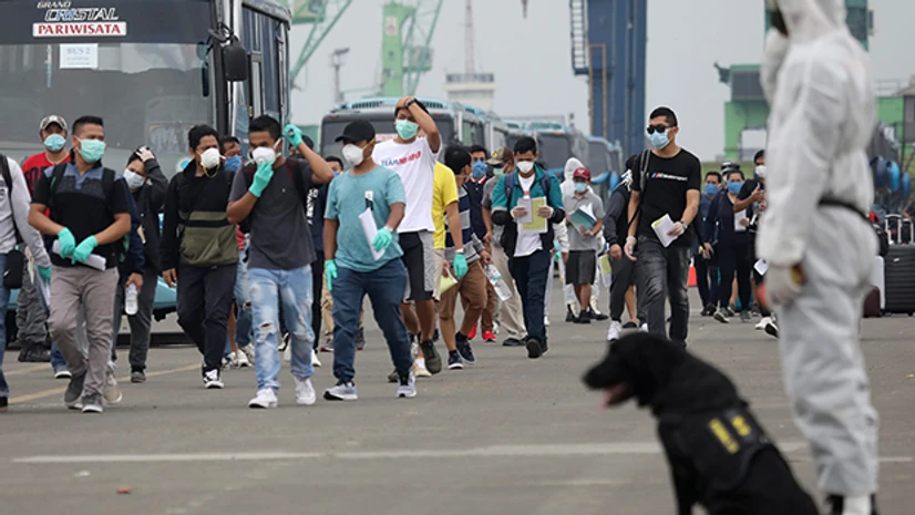 Indonesian crew members from the Carnival Splendor cruise ship walk to coronavirus testing as a member of the navy K-9 unit stands guard as the ship arrived at the Tanjung Priok Port in Jakarta, Indonesia. Photo: PTI Indonesian crew members from the Carnival Splendor cruise ship walk to coronavirus testing as a member of the navy K-9 unit stands guard as the ship arrived at the Tanjung Priok Port in Jakarta, Indonesia. Photo: PTI
