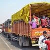 Migrant workers travel in crowded trucks during the ongoing COVID-19 lockdown, in Jhansi district