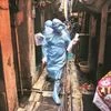 coronavirus