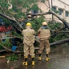 Firefighters clear road blockage after a tree uprooted due to heavy winds and rain ahead of cyclone 'Amphan' landfall, near R&B office in Bhadrak. Photo: PTI