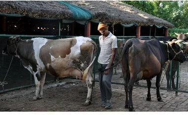 Hundreds of Maharashtra milk farmers take to the streets on BJP call Hundreds of Maharashtra milk farmers take to the streets on BJP call