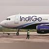 P&W engine issues to lead to more aircraft grounding in March qtr: IndiGo indigo, airlines, aviation, flights, air craft