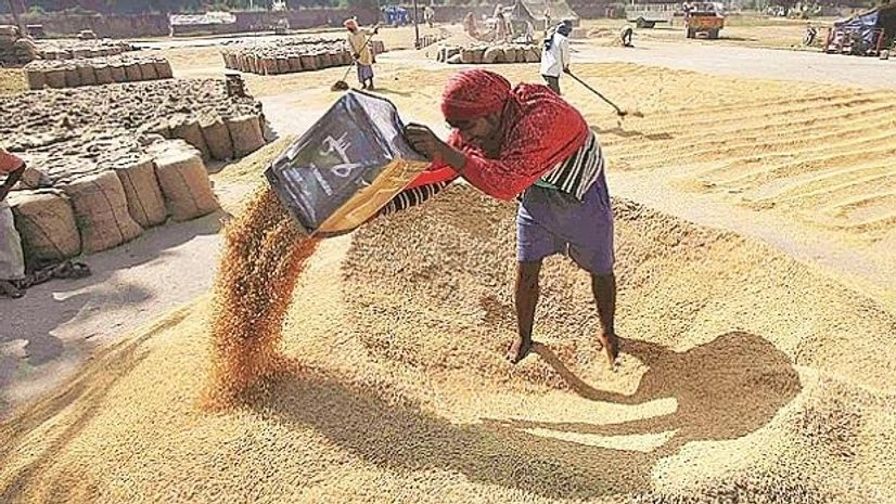 PM-AASHA, price deficiency payment scheme: A fact check on its progress farmers, agriculture, produce, products, grains, apmc, market, msp, godown, cold storage, farming, farmers, farm labour