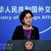 Hua Chunying, chinese spokesperson, foreign ministry