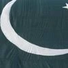 Pakistan initiates action against Ahmadiyya channels