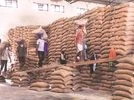 foodgrain, food, output, production, coldstorage, FCI, warehouse, farmers, farm, agri, market, prices foodgrain, food, output, production, coldstorage, FCI, warehouse, farmers, farm, agri, market, prices
