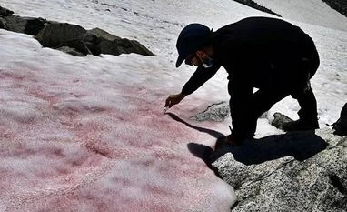 Mysterious pink ice on Italian Alps sound alarm bells for climate change Alps