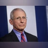 Anthony Fauci Anthony Fauci, director of the National Institute for Allergy and Infectious Diseases, listens as President Donald Trump answers questions during the coronavirus task force daily briefing at the White House in Washington, DC. Photo: Reuters