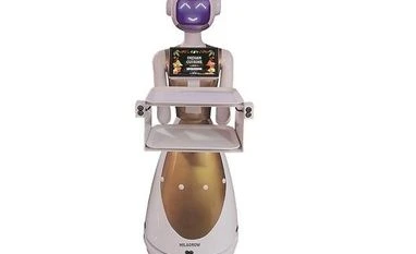 Humanoid robots lead Diwali celebrations at Jaipur housing society robots