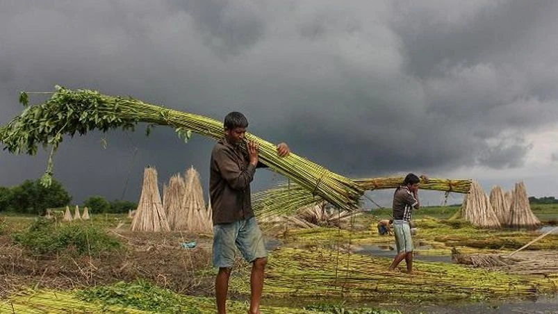 farmers, agriculture, MONSOON, produce, products, grains, apmc, market, msp, godown, cold storage, farming, farmers farmers, agriculture, MONSOON, produce, products, grains, apmc, market, msp, godown, cold storage, farming, farmers