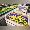 food processing, EXPORT, fruits, store, grocery