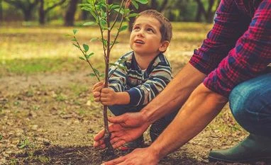 MCD begins plantation drive, targets planting 85,000 saplings in 2022 trees, planting trees, growing trees, tree plantation
