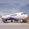indigo, airlines, aviation, flights, air craft indigo, airlines, aviation, flights, air craft