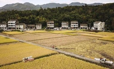 29 killed as restaurant collapses in China's Shanxi during birthday party 29 killed as restaurant collapses in China's Shanxi during birthday party