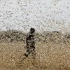 Photo: Reuters