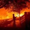 Trudeau slams Facebook for blocking news on wildfires raging in Canada