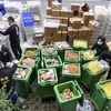 Xi Jinping launches 'Clean Plates Campaign', triggers fears of food crisis