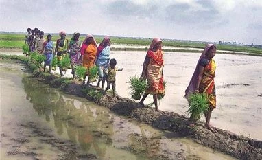 In Punjab, farmers' body to start 'rail roko' agitation from Sep 24 farmers, women, agriculture, farm labourer