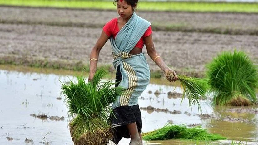 CCEA okays Rs 77.45 cr for revival of north eastern agri-marketing corp