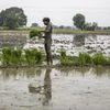 Agriculture