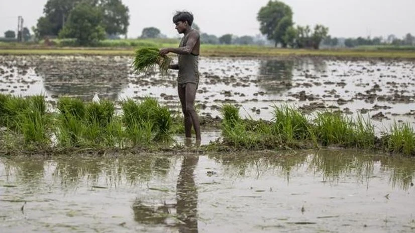Agriculture Agriculture
