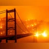 California wildfires