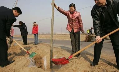 China's billion tree forest program is environmental lesson for the world China Plantation