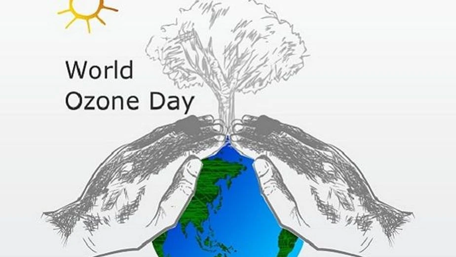 essay on causes and effects of ozone depletion