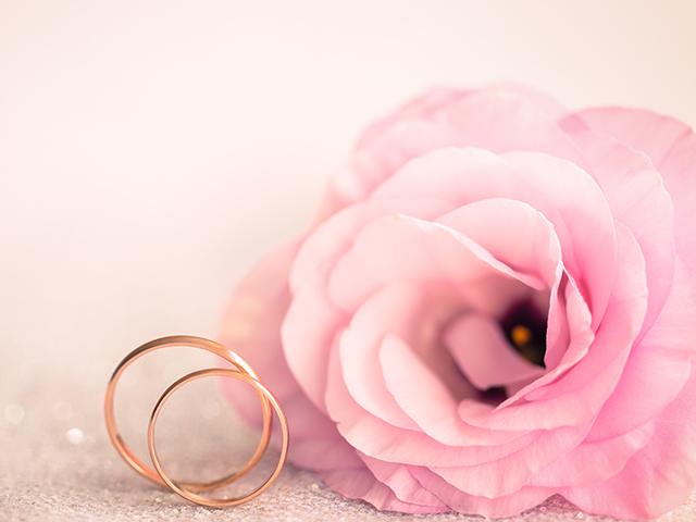 Vows Vows