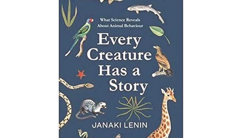 Book cover of Book cover of