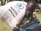 hunger, UN, world foor programme, WFP hunger, UN, world foor programme, WFP