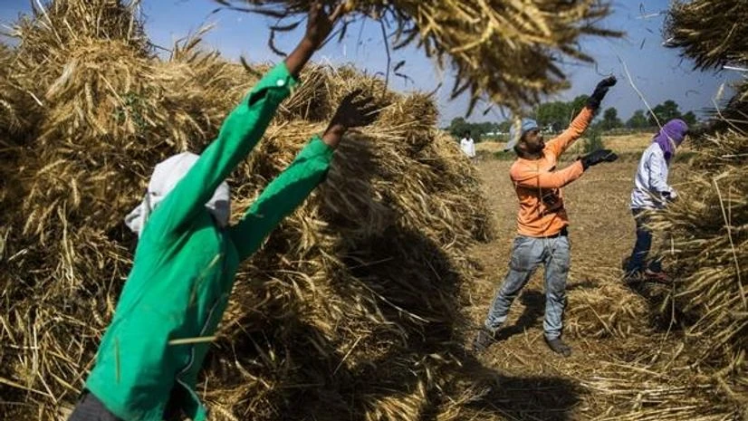Farming, agriculture Farming, agriculture