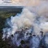 Smoke rises above the Amazon rainforest, outside an indigenous reservation, in this aerial photograph taken near Jundia, Brazil. Photo: Bloomberg