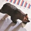 bear market, sensex, nifty, loss, growth, investment