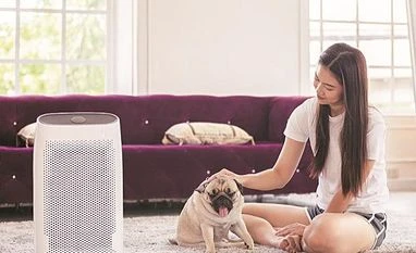 Instead of gasping for breath, get yourself an air purifier this winter air purifier, pollution