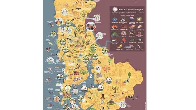 Mumbai, wildlife, map, biodiversity, Purpose Climate Lab, Biodiversity By The Bay Mumbai, wildlife, map, biodiversity, Purpose Climate Lab, Biodiversity By The Bay