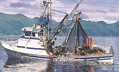 Mass fish deaths in Europe's Oder river blamed on brackish water algae Fishing