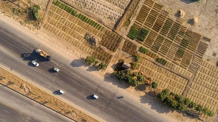 Pakistan, reforestation Trees and plants are grown along the M9 highway in Karachi. Photographer Asim Hafeez/Bloomberg