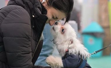 Pets Having an animal at home means investing in a comforting companion, a stress-busting friend for life that's playful and loving and keeps the young and old alike happy. Picture Courtesy: Pet Fed