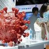 An employee displays a coronavirus vaccine candidate from China National Biotec Group (CNBG), during the 2020 China International Fair for Trade in Services (CIFTIS) at Beijing Olympic Park on September 5, 2020 in Beijing. Photo: Bloomberg
