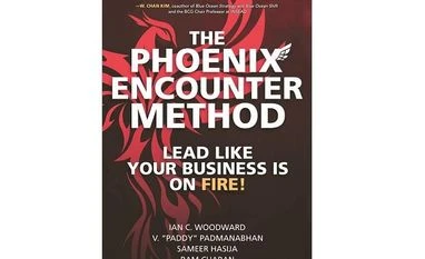 Old framework in new package Book cover