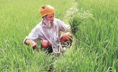 India needs dynamic approach to define rural-urban areas: EAC-PM member Rural sector