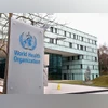 World Health Organisation, WHO
