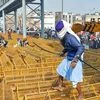 A farmer walks over the police barricades set up on a road at Akshardham to stop farmers during their during the Kisan Gantantra Parade amid the 72nd Republic Day celebrations, in New Delhi. Photo: PTI